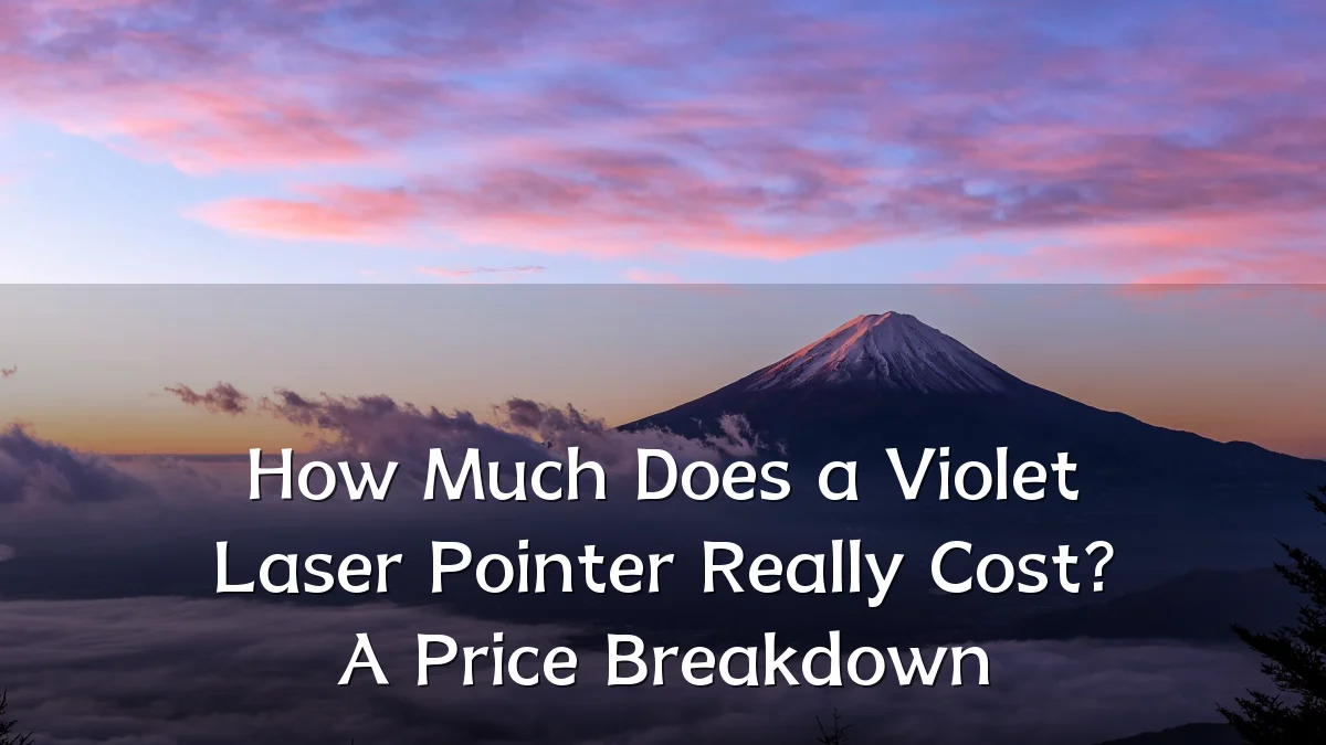 How Much Does a Violet Laser Pointer Really Cost? A Price Breakdown