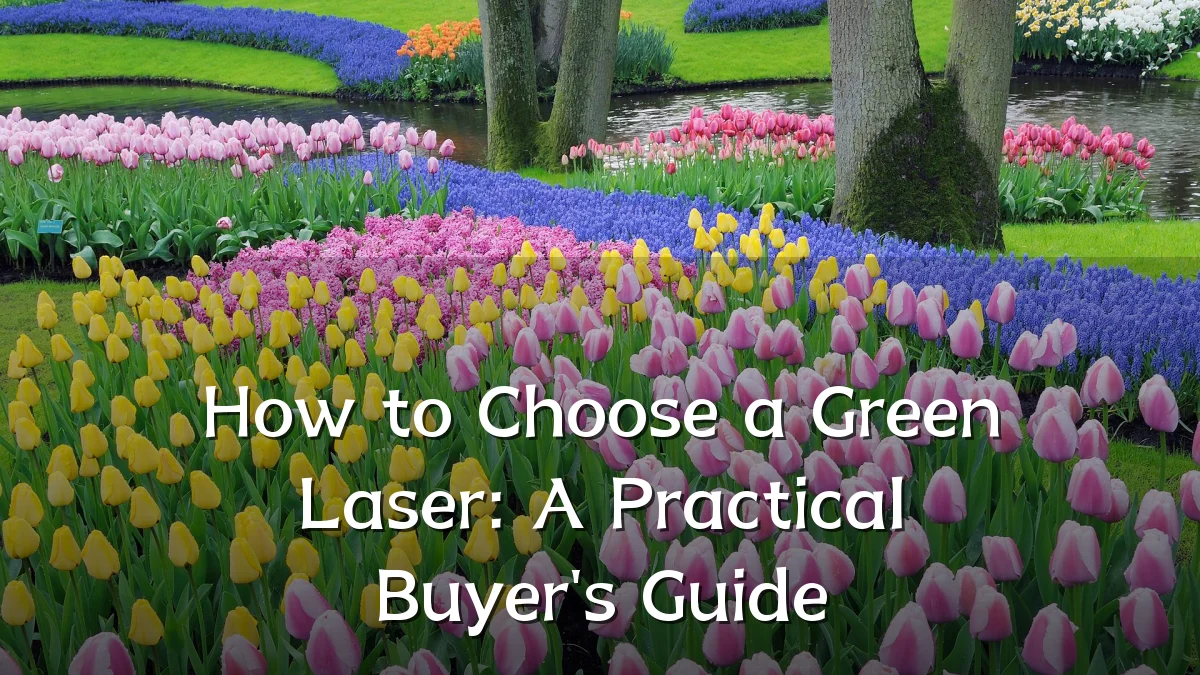 How to Choose a Green Laser: A Practical Buyer's Guide