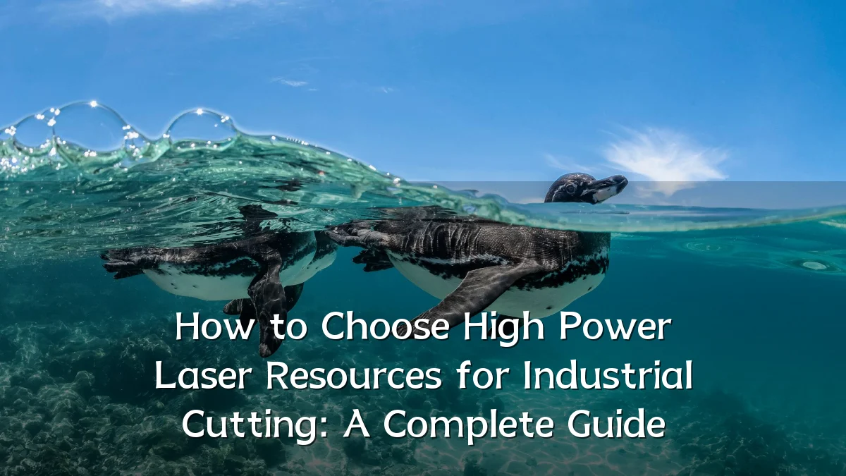 How to Choose High Power Laser Resources for Industrial Cutting: A Complete Guide