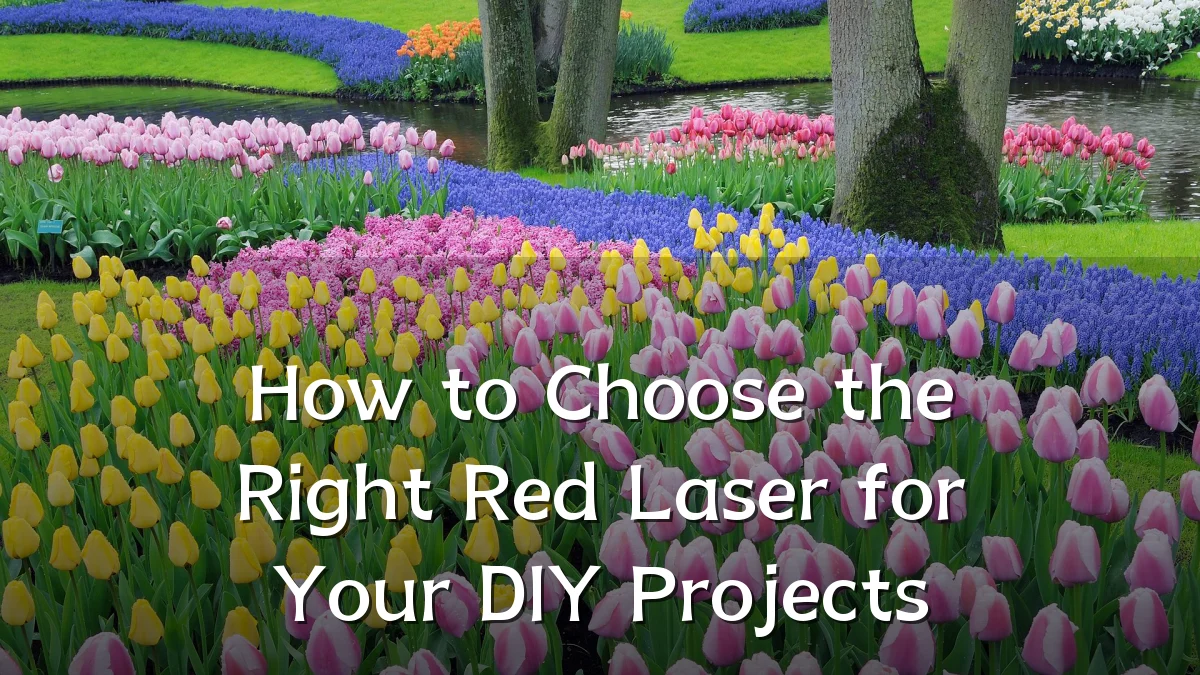 How to Choose the Right Red Laser for Your DIY Projects