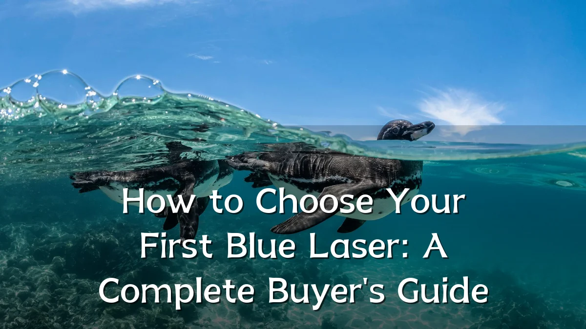 How to Choose Your First Blue Laser: A Complete Buyer's Guide