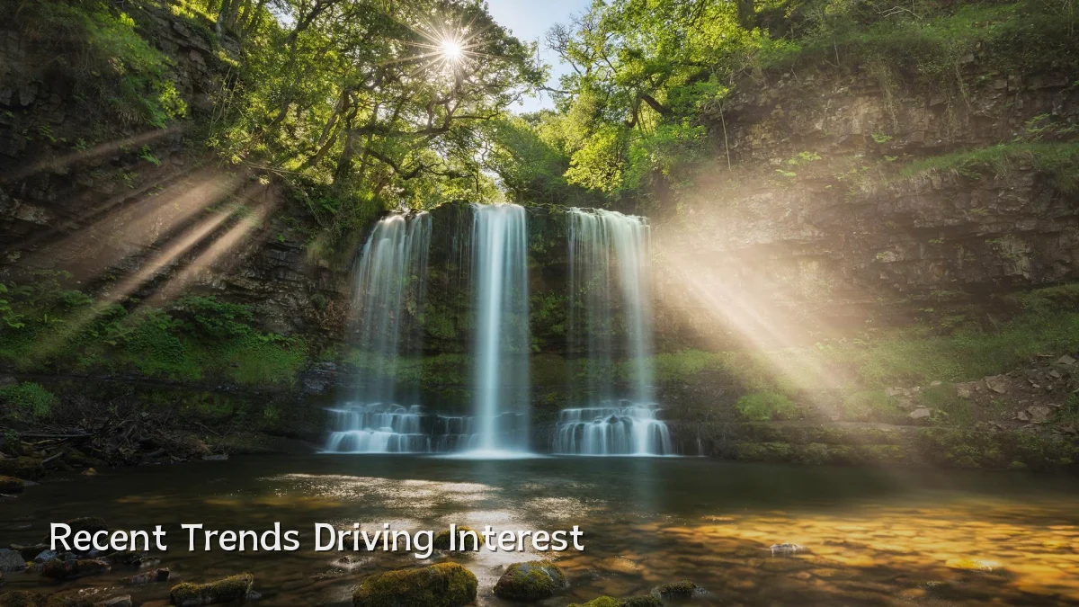 Recent Trends Driving Interest