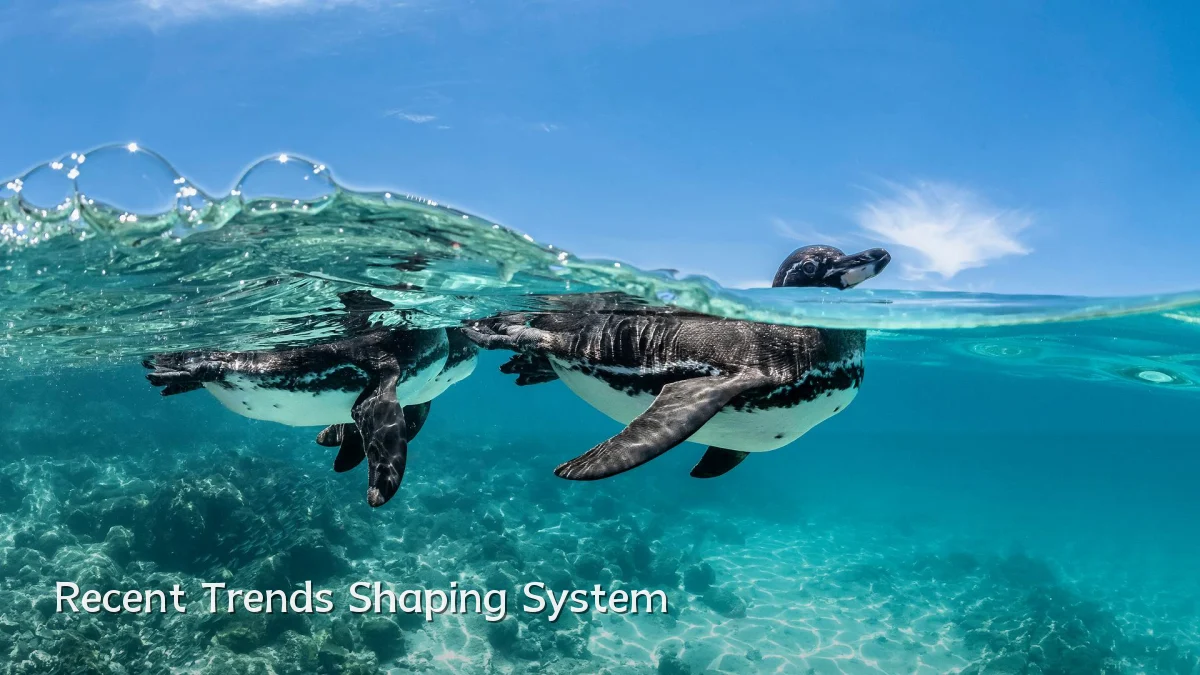 Recent Trends Shaping System