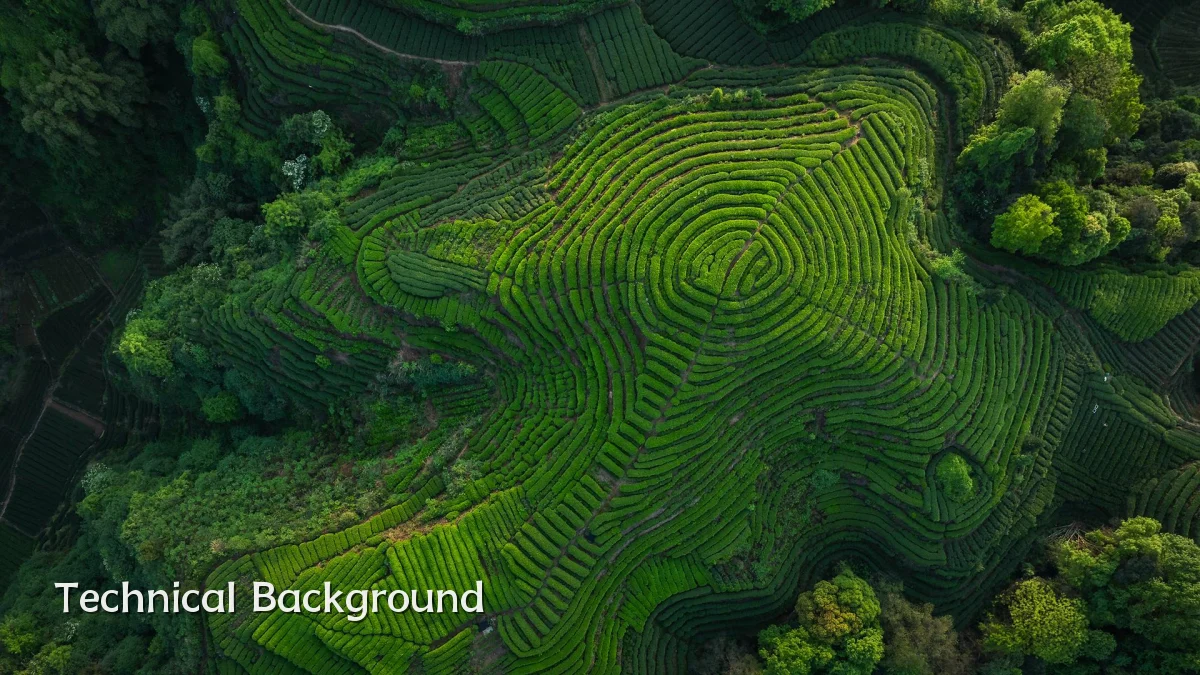 Technical Background