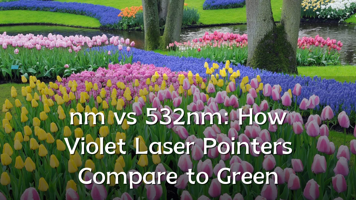 nm vs 532nm: How Violet Laser Pointers Compare to Green
