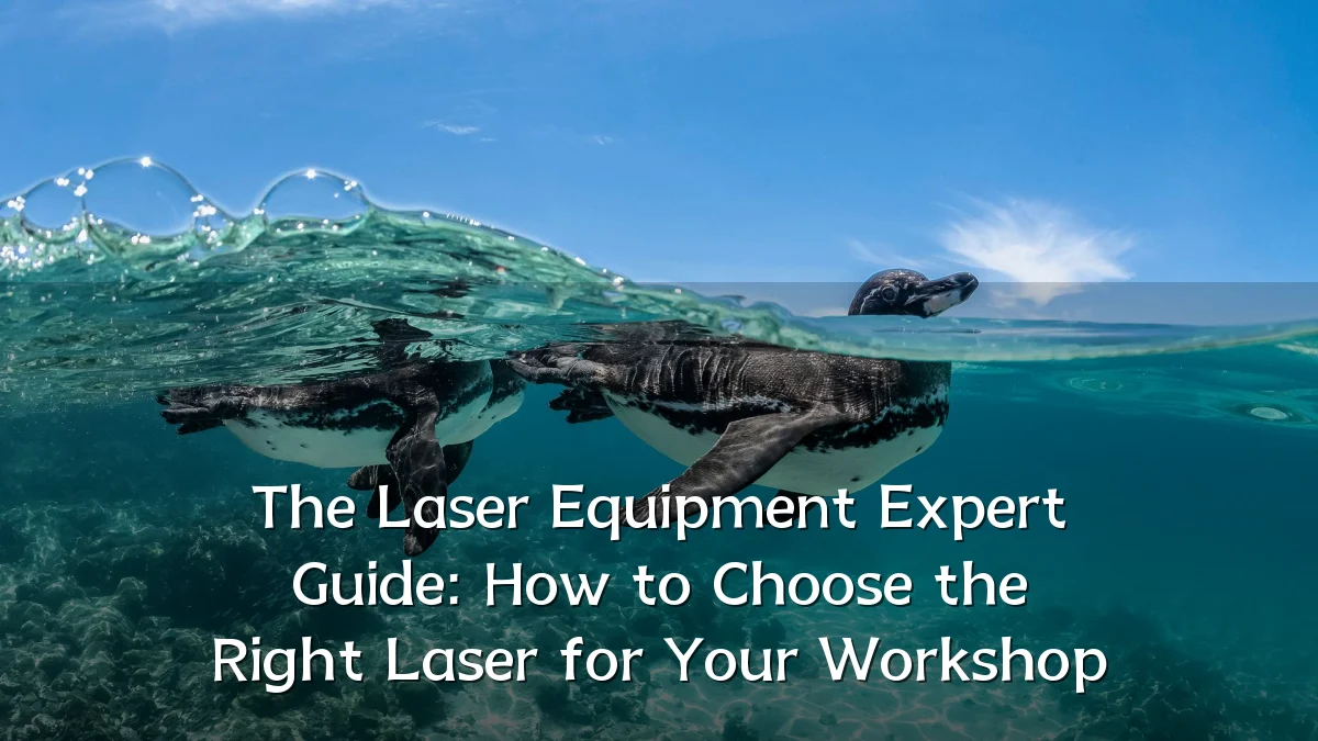 The Laser Equipment Expert Guide: How to Choose the Right Laser for Your Workshop