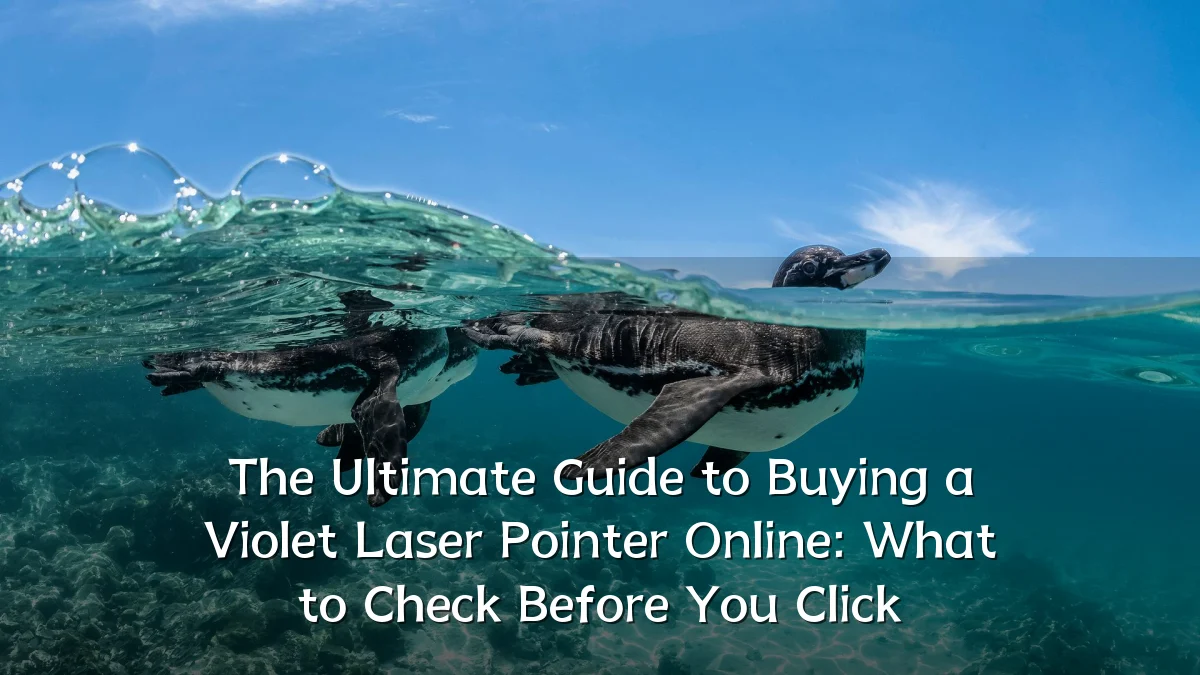The Ultimate Guide to Buying a Violet Laser Pointer Online: What to Check Before You Click