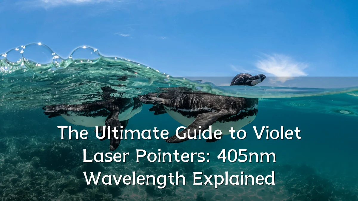 The Ultimate Guide to Violet Laser Pointers: 405nm Wavelength Explained