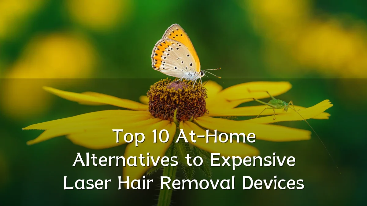 Top 10 At-Home Alternatives to Expensive Laser Hair Removal Devices